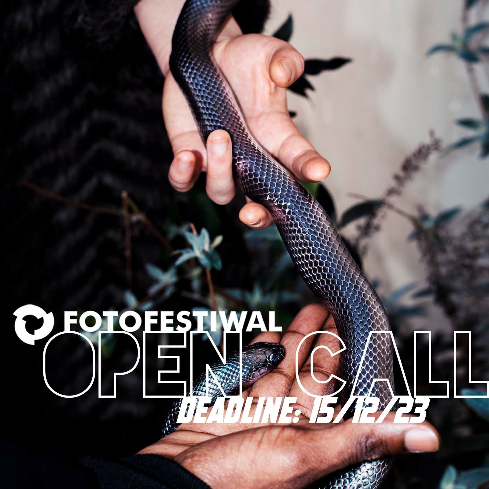 fotofestiwal_open_call_2024_03.jpeg