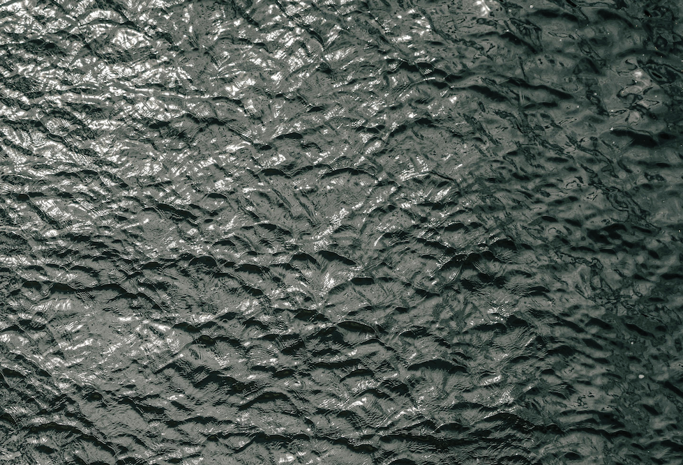 CZARNA WODA / Galeria Aula / UAP Poznań