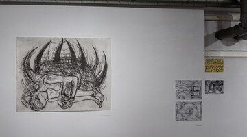 STYK / Galeria aj-aj